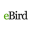 eBird icon