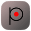 Punto Switcher icon